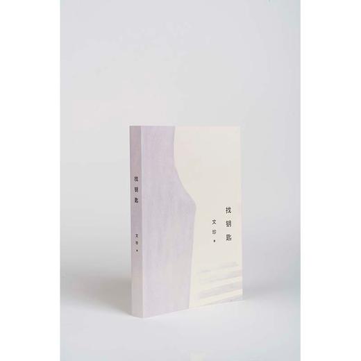 (仓发) 找钥匙（老舍文学奖得主文珍新作，献给那些城市缝隙中的普通人）/上海人民出版社/文珍/9787208169548 商品图2
