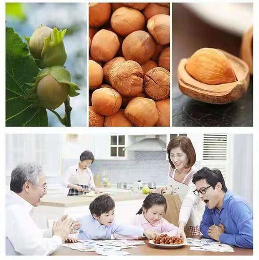 HEB东北榛子  500g袋装 商品图3