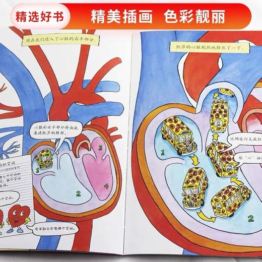 【会员兑换】神奇校车单本体验心脏 儿童益智手工图画版绘本阅读 幼儿园2-3-4-5-6岁宝宝 小班 中班 大班 故事书亲子阅读启蒙早教读物童书 商品图2