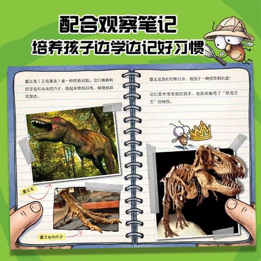 苍蝇小子爆笑系列 商品图13