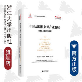 中国战略性新兴产业发展：机制、路径与政策/大国大转型中国经济转型与创新发展丛书/黄先海/宋学印/杨高举/浙江大学出版社