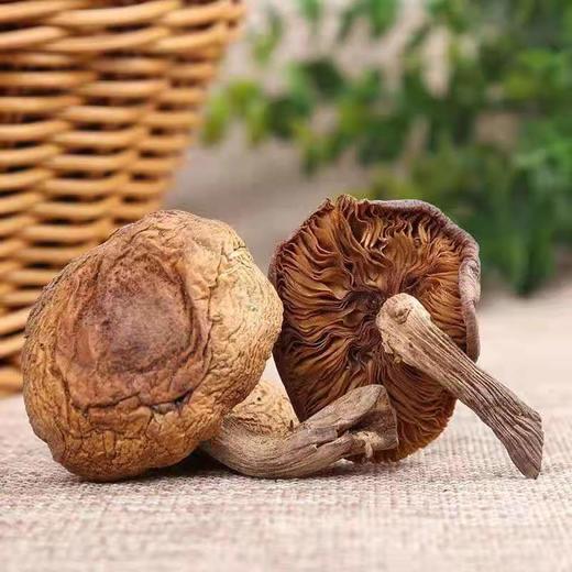 HEB东北榛蘑 商品图10