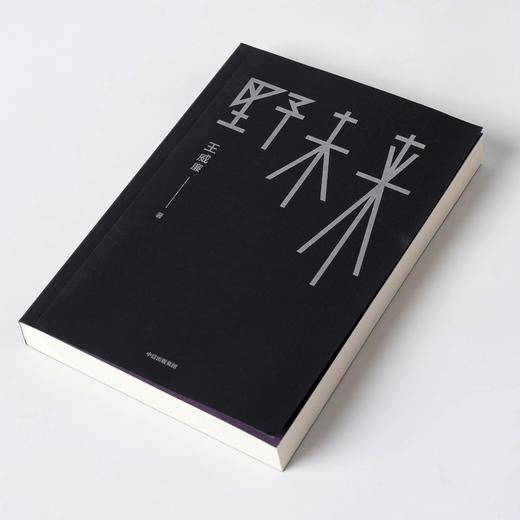 (仓发) 【余华推荐】野未来/中信出版集团股份有限公司/王威廉/9787521729870 商品图8