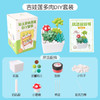 超轻粘土多肉DIY套装（吉娃连）DR03 商品缩略图0