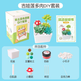 超轻粘土多肉DIY套装（吉娃连）DR03