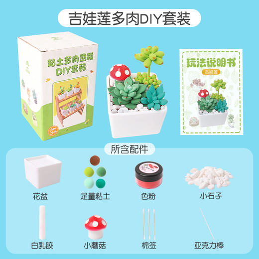 超轻粘土多肉DIY套装（吉娃连）DR03 商品图0