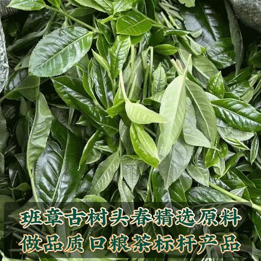 吉顺号普洱茶生茶饼《莲饼》云南七子饼茶口粮茶357克 商品图1
