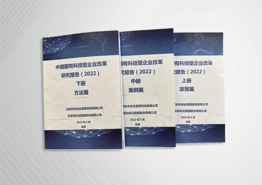 中国国有科技型企业改革研究报告-2022 商品图1