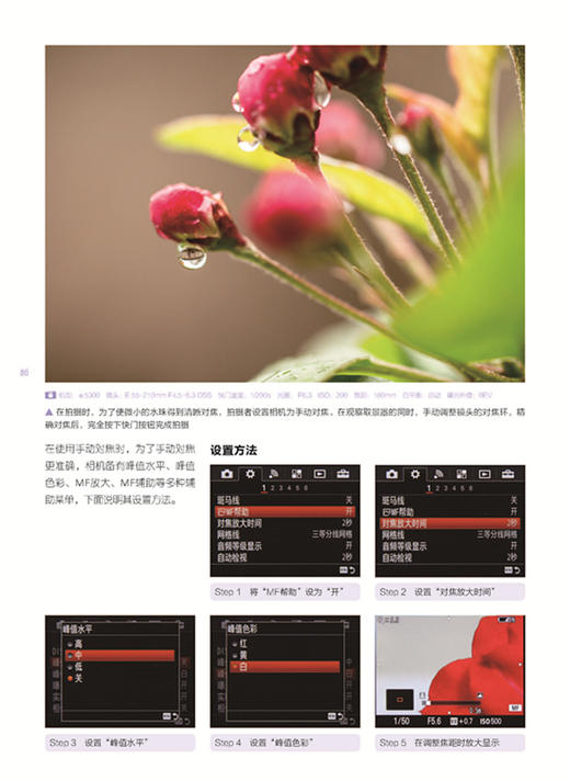 (仓发) 索尼微单摄影从新手到高手（全新畅销升级版）/中国青年出版社/曹照/9787515342382 商品图5