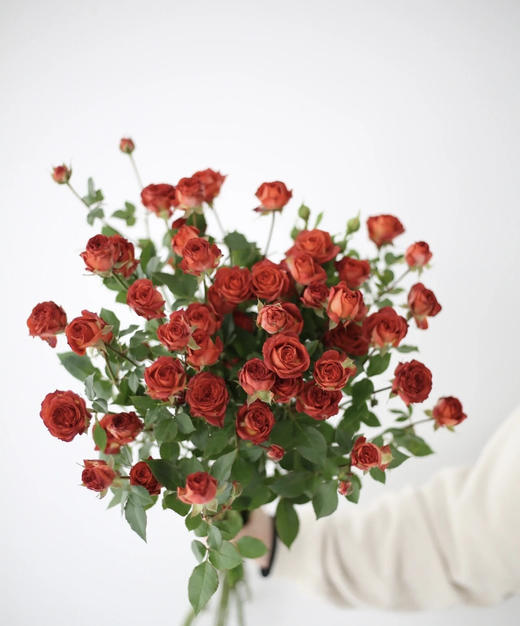 【秒杀福利】南粤推荐-多头巧克力泡泡 10枝 商品图1