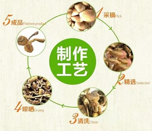 HEB东北榛蘑 商品图11