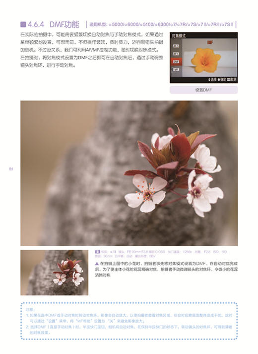 (仓发) 索尼微单摄影从新手到高手（全新畅销升级版）/中国青年出版社/曹照/9787515342382 商品图4