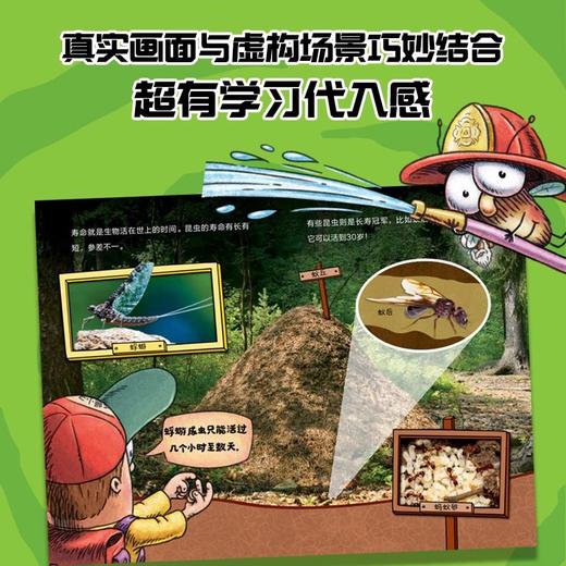 苍蝇小子爆笑系列 商品图12