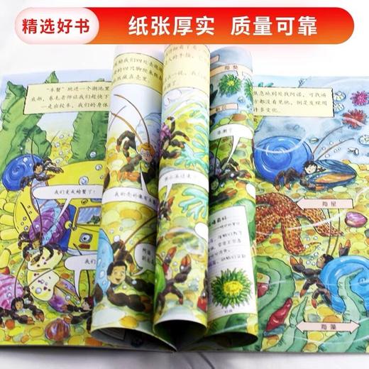 【会员兑换】神奇校车单本像螃蟹一样爬 儿童益智手工图画版绘本阅读 幼儿园2-3-4-5-6岁宝宝 小班 中班 大班 故事书亲子阅读启蒙早教读物童书 商品图3