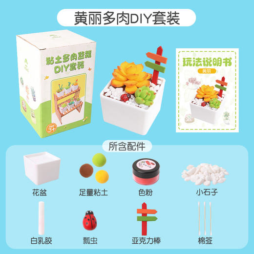 超轻粘土多肉DIY套装（黄丽）DR02 商品图0
