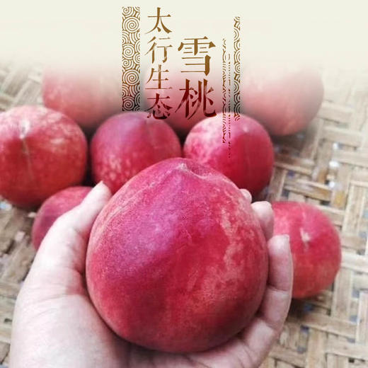 太行生态雪桃4.2斤【产地直发】@裕垦公社 商品图0