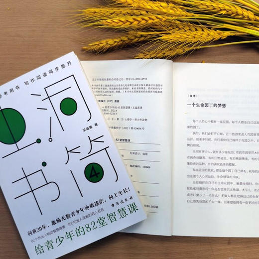 虫洞书简4 给青少年的82堂智慧课 14岁+ 王溢嘉 著 中学生写作阅读提升技巧 中考写作大全 作文制胜 写出好作文 商品图2