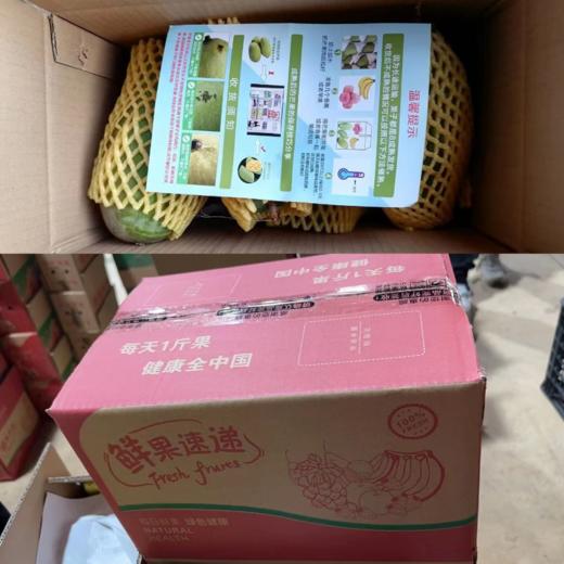 【助农】广西贵妃芒果 现摘芒果 金黄果肉 香浓软滑 肉厚多汁 商品图5