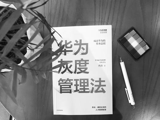 (仓发) 【赠送实践导图】华为灰度管理法 成就华为的基本法则 冉涛 企业管理类年度精选书单 中信出版社图书/中信出版集团，中信出版社/冉涛/9787521712087 商品图3