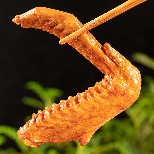 （散）骥洋五香鸭翅 商品图1