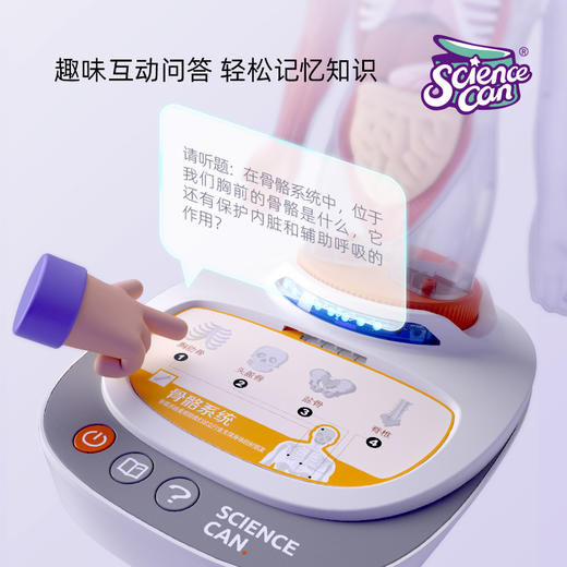 【立体人体百科 会说话的“身体”】可拆卸组装的人体解剖模型器官  我们的身体百科教具 人体结构知识初启蒙 商品图1