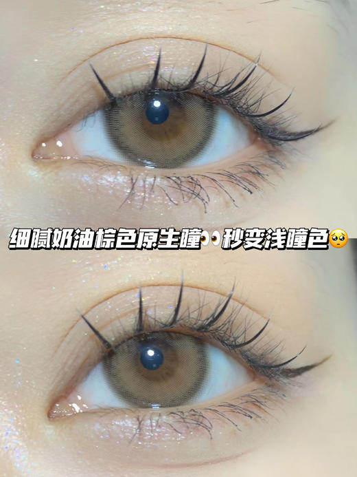 chestnut栗子奶香棕 <含硅水凝胶>年抛型 商品图0