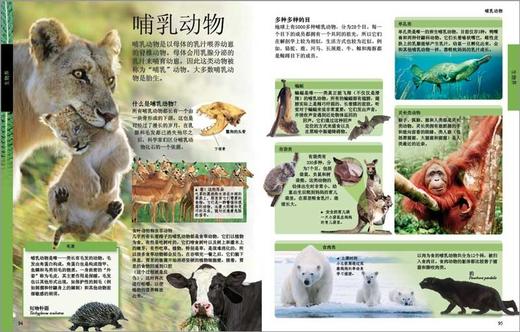 (仓发) DK儿童百科全书（2021年全新印刷）(中国环境标志产品 绿色印刷)/中国大百科全书出版社/9787500083528 商品图5