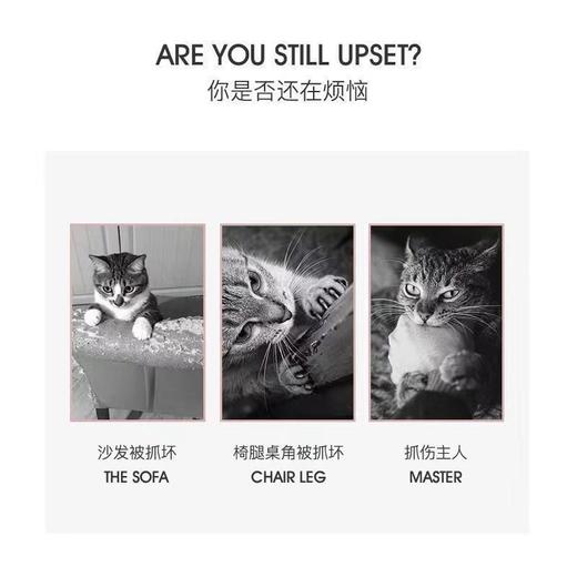 猫抓板磨爪器猫窝猫爪板窝不掉屑瓦楞纸猫抓盆立式猫玩具猫咪用品 商品图8