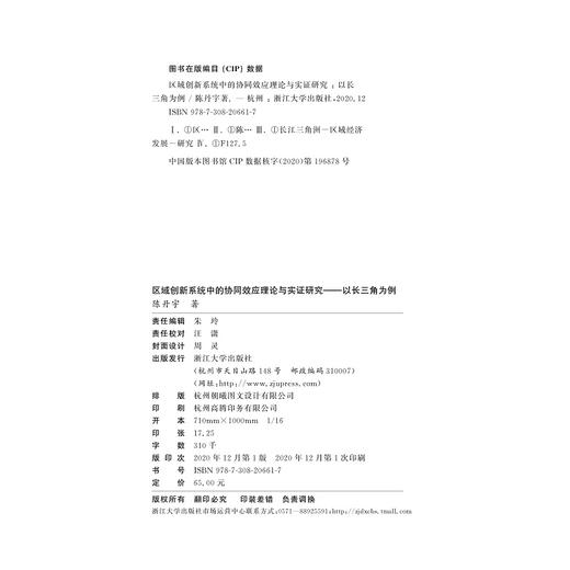 区域创新系统中的协同效应理论与实证研究——以长三角为例/陈丹宇/浙江大学出版社 商品图1