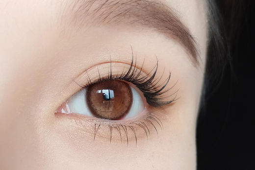 Deekay旗下 ·G381陶白白棕｜韩国进口年抛｜建议6个月更换｜14.5mm中大直径 商品图6