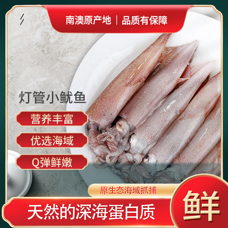 【直发】灯管小鱿鱼