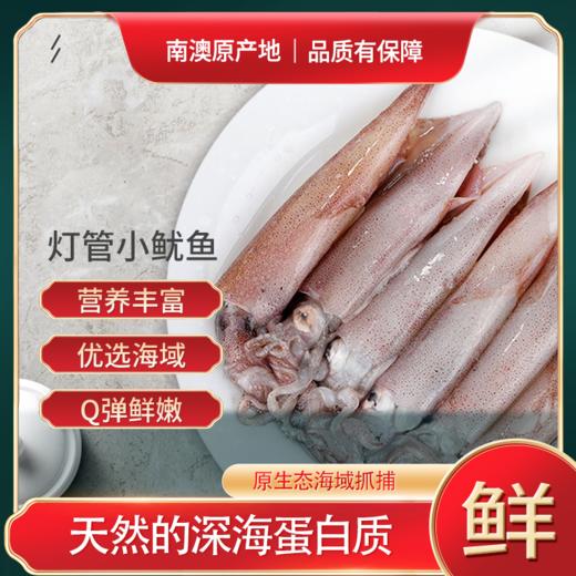 【直发】灯管小鱿鱼 商品图0