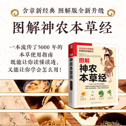 (仓发) 图解神农本草经  中草药传统妙方 一本流传了5000年的本草使用指南/江苏凤凰科学技术出版社/9787553754581 商品图1