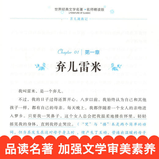 (仓发) 苦儿流浪记 小学生课外阅读书籍三四五六年级必读世界经典文学名著青少年儿童读物故事书 名师精读版/北京燕山出版社/[法]埃克多·马洛/9787540243128 商品图2