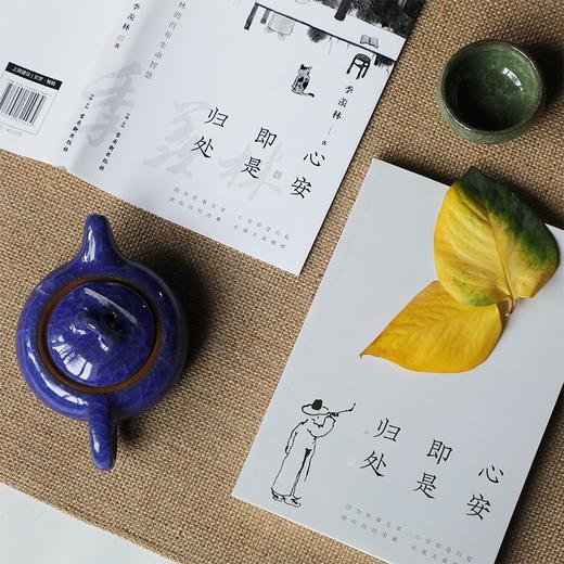 (仓发) 心安即是归处（季羡林百年生命智慧。央视《朗读者》多次动情朗读本书名篇 愿你历尽沧桑 永葆天真模样）/古吴轩出版社/季羡林/9787554615430 商品图6