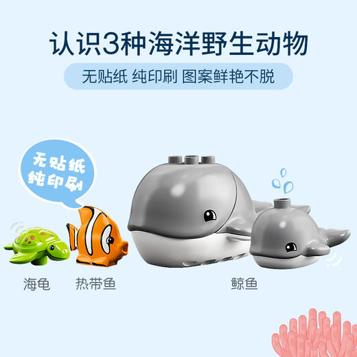 乐高LEGO 海洋野生动物 LEGC10972 商品图3