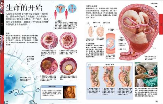 (仓发) DK儿童百科全书（2021年全新印刷）(中国环境标志产品 绿色印刷)/中国大百科全书出版社/9787500083528 商品图4