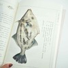 大海的礼物 中国海洋生物手绘图鉴 100幅海洋生物 商品缩略图11