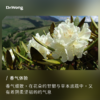 髯花杜鹃 单方精油 商品缩略图1