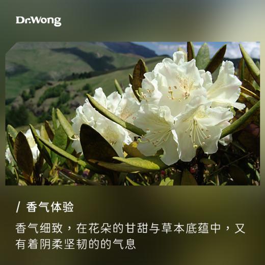 髯花杜鹃 单方精油 商品图1
