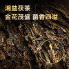 黑茶 湘益 红丝带2021年 茯茶 400g 商品缩略图2