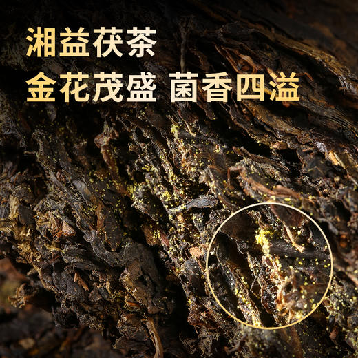 黑茶 湘益 红丝带2021年 茯茶 400g 商品图2