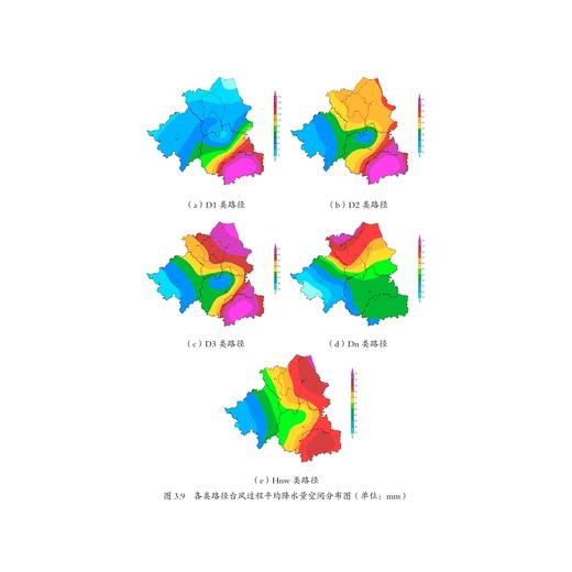 绍兴台风/王德鸿/浙江大学出版社 商品图4