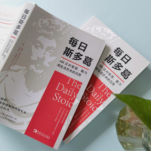每日斯多葛：366次对智慧、毅力和生活艺术的沉思 商品图2