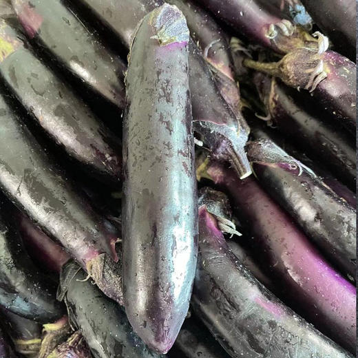 연변가지 延边茄子500g 商品图1