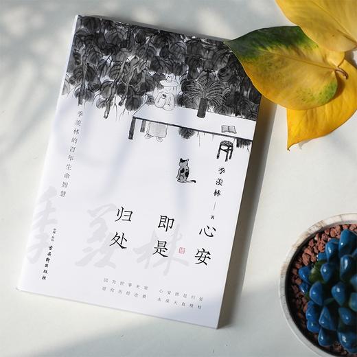 (仓发) 心安即是归处（季羡林百年生命智慧。央视《朗读者》多次动情朗读本书名篇 愿你历尽沧桑 永葆天真模样）/古吴轩出版社/季羡林/9787554615430 商品图5