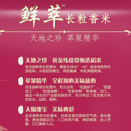 金龙鱼 鲜萃长粒香 十斤 东北大米 长粒香大米5Kg 当季新米 商品图3