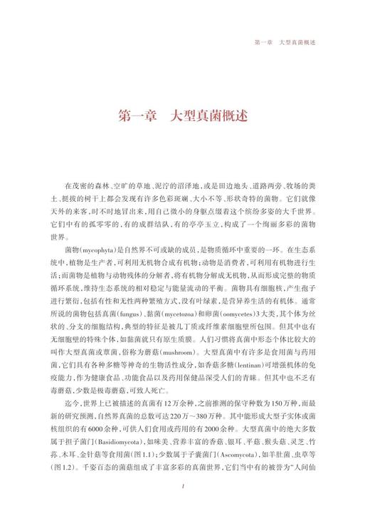 浙江大学校园大型真菌图谱/浙江大学出版社/朱旭芬/林文飞/霍颖异 商品图2