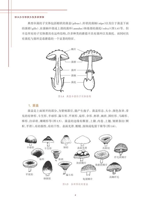 浙江大学校园大型真菌图谱/浙江大学出版社/朱旭芬/林文飞/霍颖异 商品图5