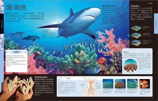 (仓发) DK儿童百科全书（2021年全新印刷）(中国环境标志产品 绿色印刷)/中国大百科全书出版社/9787500083528 商品图3